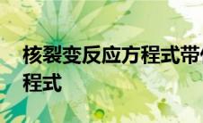 核裂变反应方程式带什么电荷 核裂变反应方程式 