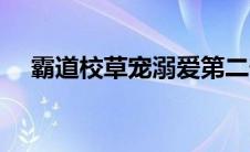 霸道校草宠溺爱第二部 霸道校草宠溺爱 