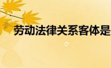 劳动法律关系客体是 劳动法律关系客体 