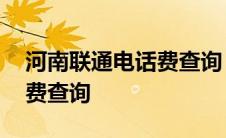 河南联通电话费查询 河南联通网上营业厅话费查询 