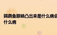 鹦鹉鱼眼睛凸出来是什么病会不会传染 鹦鹉鱼眼睛凸出来是什么病 