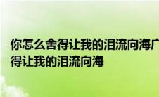 你怎么舍得让我的泪流向海广播剧讲的是什么故事 你怎么舍得让我的泪流向海 