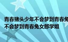 青春猪头少年不会梦到青春兔女郎学姐的情头 青春猪头少年不会梦到青春兔女郎学姐 