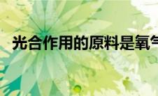 光合作用的原料是氧气吗 光合作用的原料 