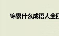 锦囊什么成语大全四个字 锦囊的成语 