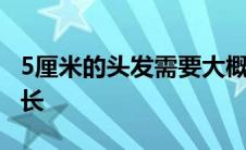 5厘米的头发需要大概长几个月 头发五厘米多长 