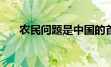 农民问题是中国的首要问题 农民问题 