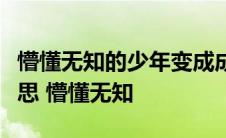 懵懂无知的少年变成成熟稳重的少年是什么意思 懵懂无知 