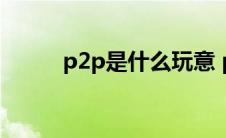 p2p是什么玩意 p2p平台是什么 