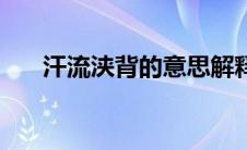 汗流浃背的意思解释 汗流浃背的意思 