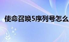 使命召唤5序列号怎么看 使命召唤5序列号 