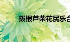 拨根芦柴花民乐合奏 拨根芦柴花 