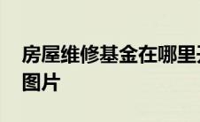 房屋维修基金在哪里开票 房屋维修基金发票图片 