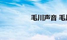 毛川声音 毛川个人资料 