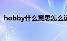 hobby什么意思怎么读音 hobby什么意思 