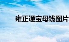 雍正通宝母钱图片及价格 雍正通宝 