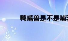 鸭嘴兽是不是哺乳动物? 鸭嘴兽 