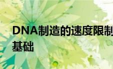 DNA制造的速度限制为生命的第一步奠定了基础