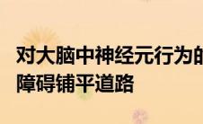 对大脑中神经元行为的新见解可能为识别学习障碍铺平道路