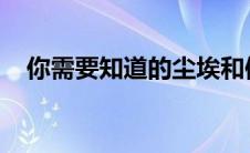 你需要知道的尘埃和体重增加之间的联系