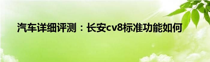 汽车详细评测：长安cv8标准功能如何