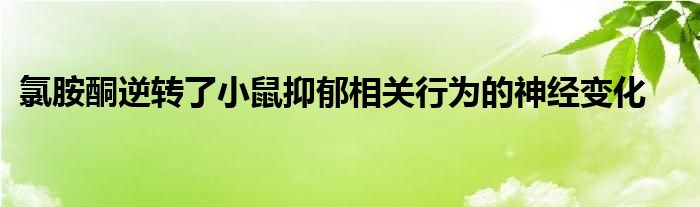 氯胺酮逆转了小鼠抑郁相关行为的神经变化